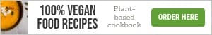 100 Vegan Food Recipes Mobile Banner
