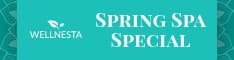 Teal Elegant Spring Spa Special Half Banner