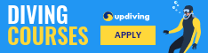See the Underwater World Diving Courses Half Banner