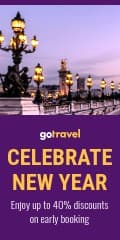 Celebrate New Year Early Booking Vertical Banner