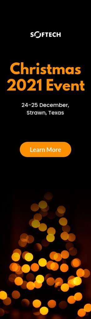 Festive Lights Christmas 2021 Event