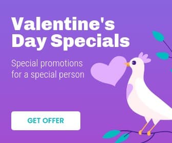 Valentine's Day Dove Specials Large Rectangle