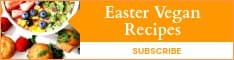 Easter Vegan Recipes Half Banner