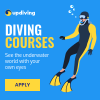See the Underwater World Diving Courses Small Square