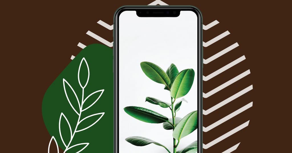 Playful Plant and Phone Lifestyle Responsive Landscape Responsive Landscape Art