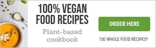 100 Vegan Food Recipes Large Mobile