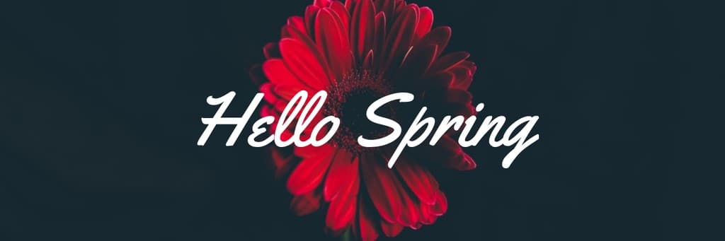 Hello Spring Red Flower X Header