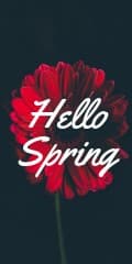 Hello Spring Red Flower Vertical Banner