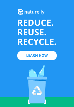 Reduce Reuse Recycle