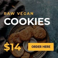 Raw Vegan Cookies Small Square