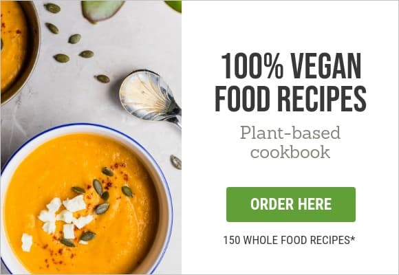 100 Vegan Food Recipes Netboard