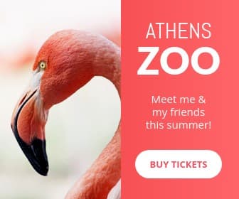 Meet the Flamingo at the Athens Zoo Large Rectangle