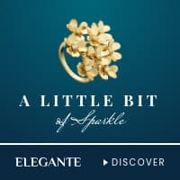 The Brief's jewelry template