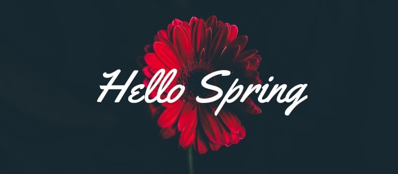 Hello Spring Red Flower Facebook Cover