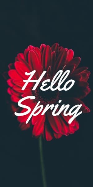 Hello Spring Red Flower Half Page