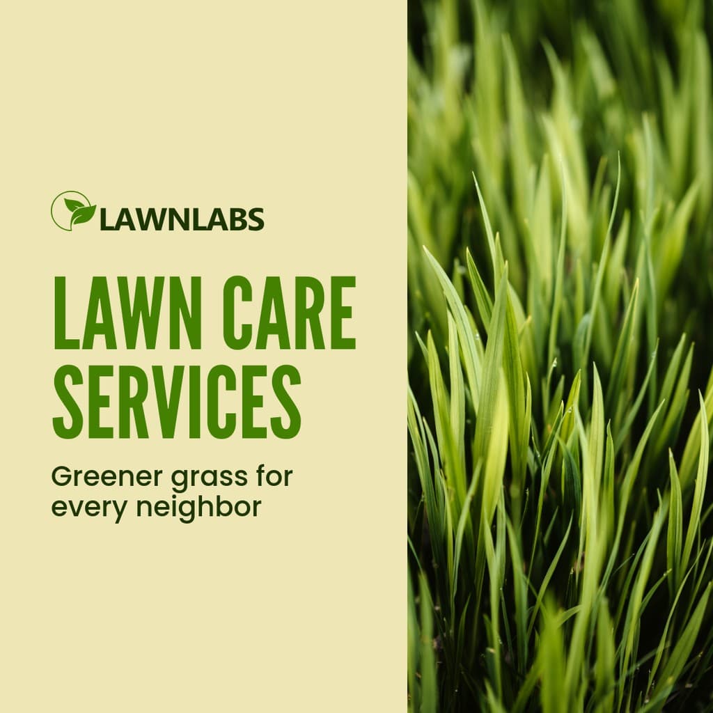 Greener Grass Lawn Care Services Instagram Post
