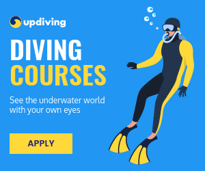 See the Underwater World Diving Courses Inline Rectangle