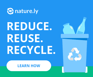 Reduce Reuse Recycle