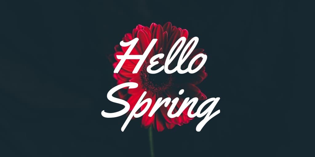Hello Spring Red Flower X Image Post