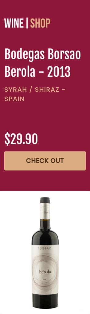 Bodegas Borsao Wine Shop Portrait