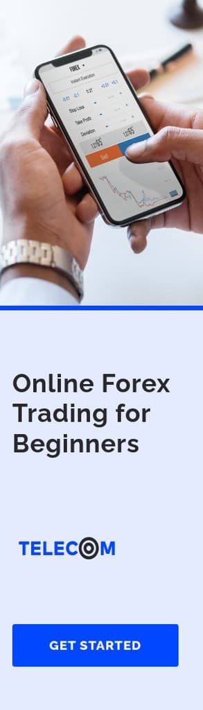 Online Forex Trading for Beginners Portrait