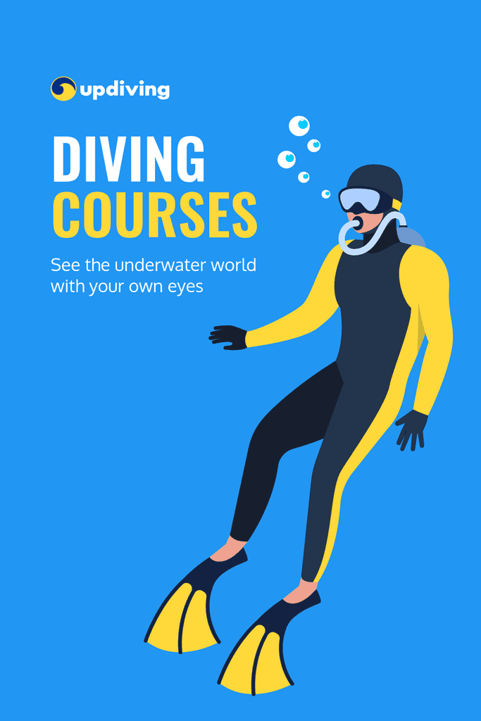 See the Underwater World Diving Courses Pinterest Pin Tall