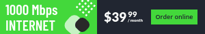 1000 Mbps Fiber Optic Internet