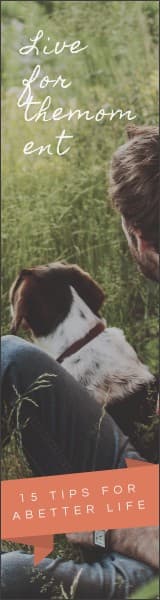 Live for the moment 160x600