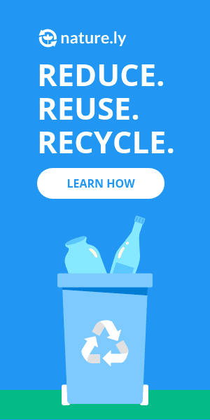 Reduce Reuse Recycle