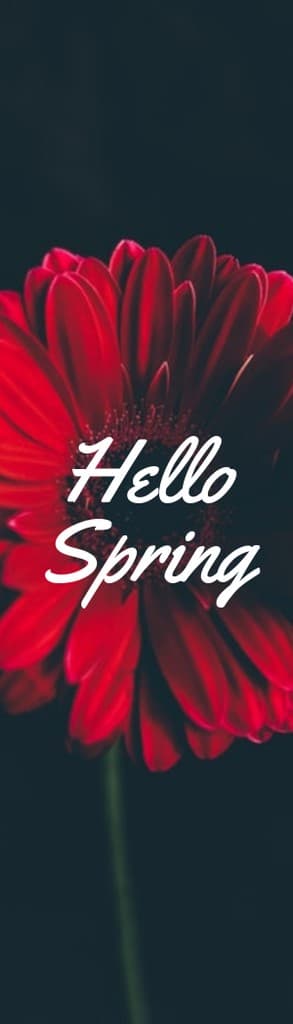 Hello Spring Red Flower Portrait