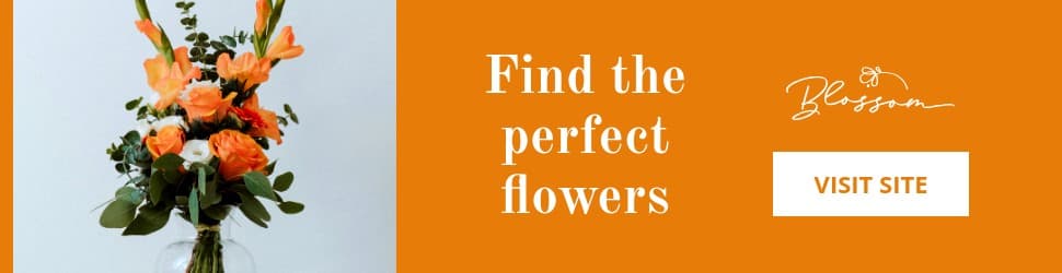 Orange Find the Perfect Flowers