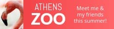 Meet the Flamingo at the Athens Zoo Half Banner