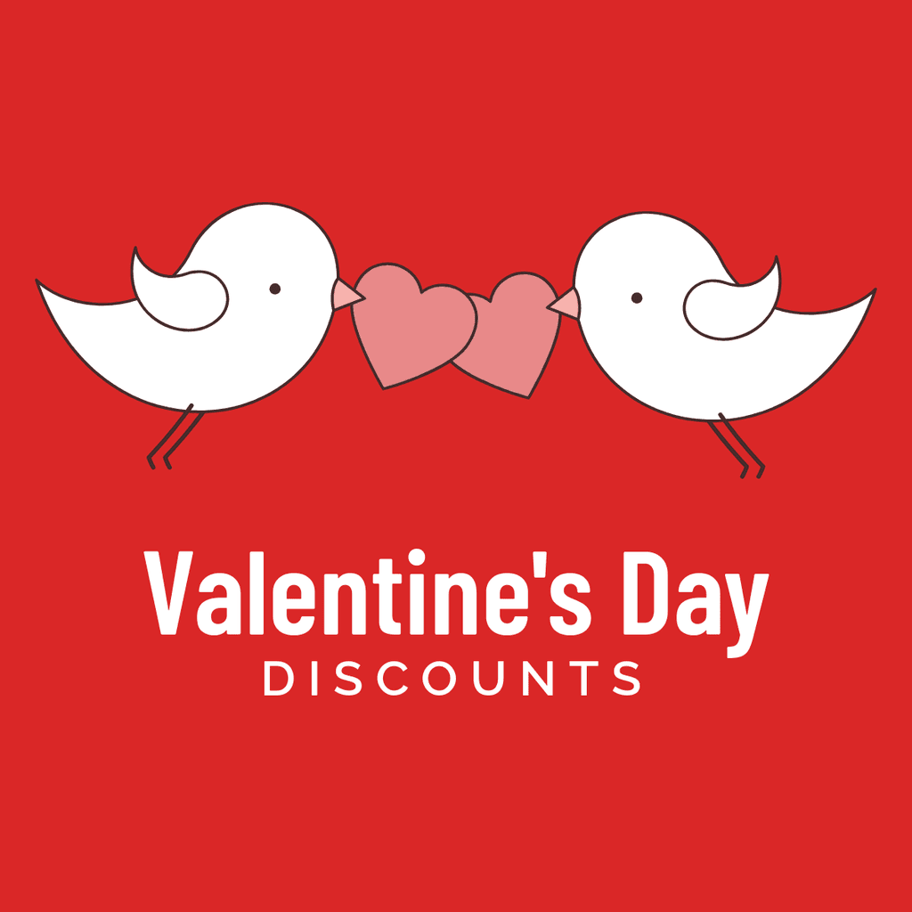 Valentine's Day Bird Discounts Facebook Square Post