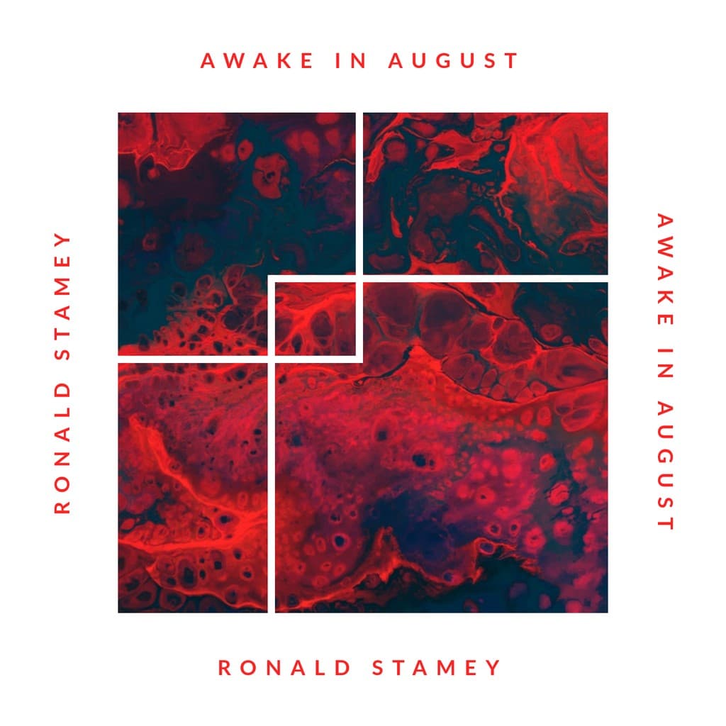 Ronald Stamey Awake in August Album Cover Spotify Playlist Cover