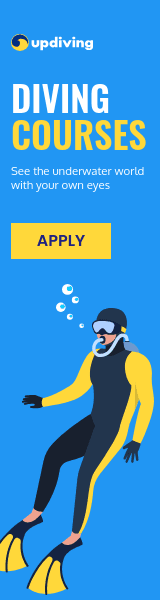 See the Underwater World Diving Courses Wide Skyscraper