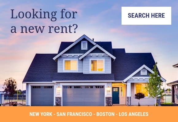 Looking for a New Rent Netboard