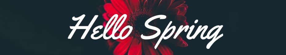 Hello Spring Red Flower Top Banner