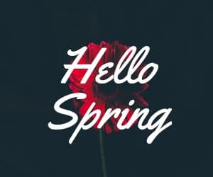 Hello Spring Red Flower Inline Rectangle