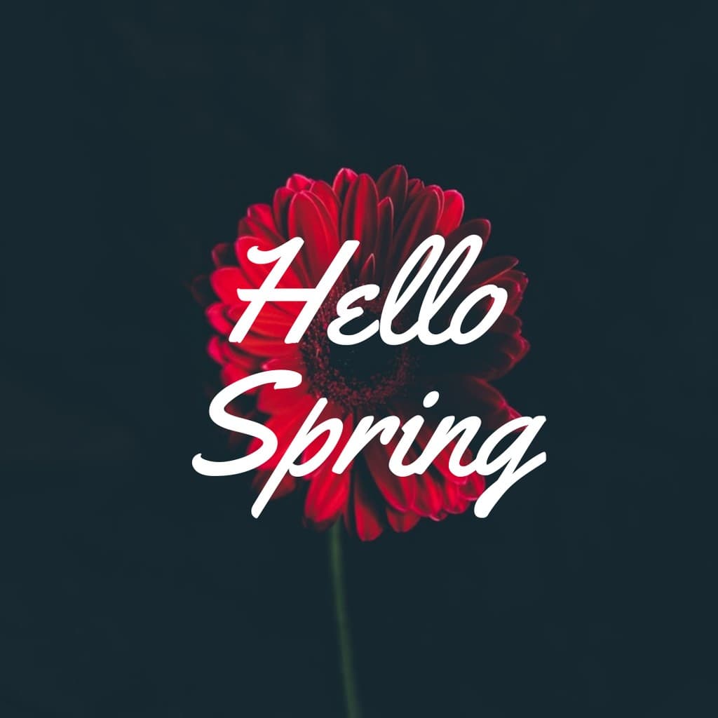 Hello Spring Red Flower Instagram Post
