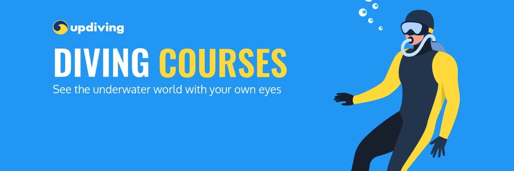 See the Underwater World Diving Courses X Header