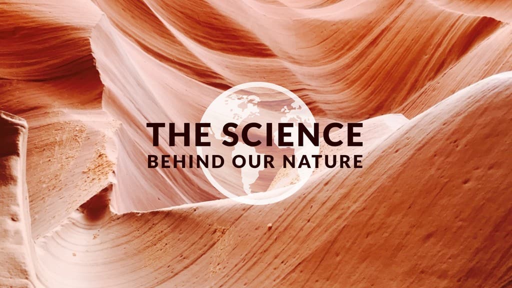 The Science Behind 2560x1440 YouTube Channel Banner