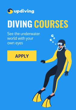 See the Underwater World Diving Courses Triple Widescreen
