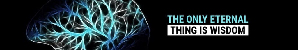 The Only Eternal Thing is Wisdom Linkedin Page Cover Linkedin Page Cover