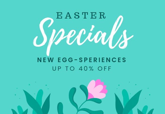 Easter Specials New Egg-sperience Netboard