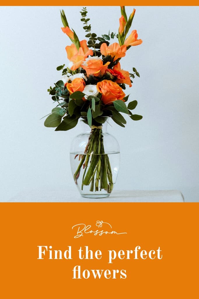 Orange Find the Perfect Flowers