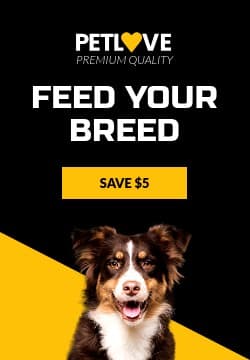 Feed Your Breed Pet Love