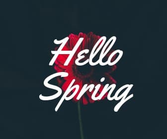 Hello Spring Red Flower Large Rectangle