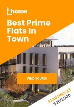 Best Orange Prime Flats Triple Widescreen