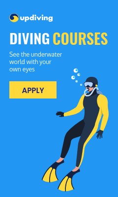 See the Underwater World Diving Courses Vertical Rectangle
