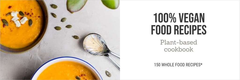 100 Vegan Food Recipes X Header